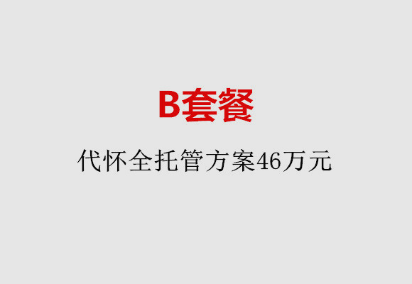 厦门B套餐：代怀全托管方案46万元